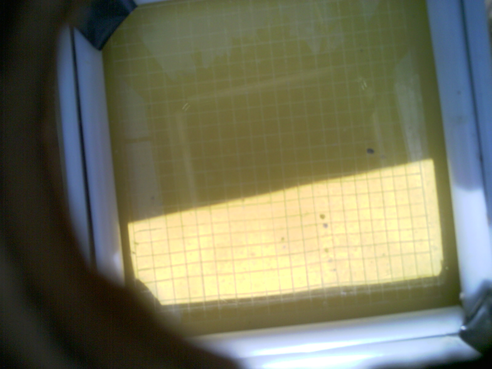 20260707_154250_UXGA_Q3.jpg