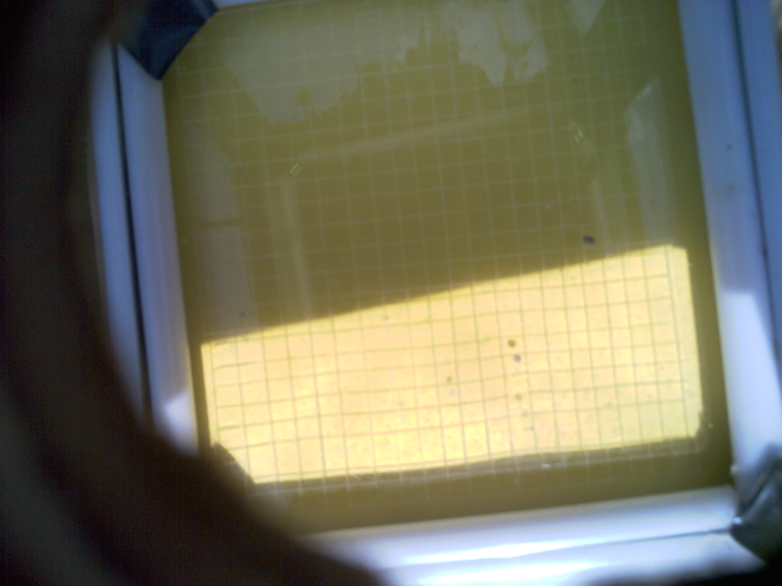 20260707_154939_UXGA_Q3.jpg