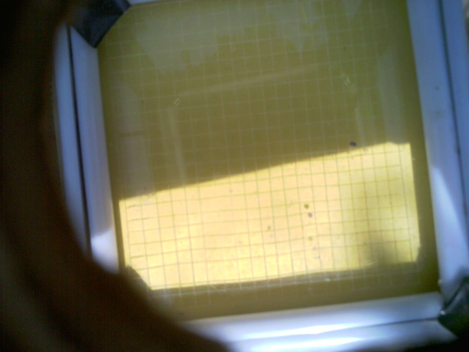 20260707_155627_UXGA_Q3.jpg