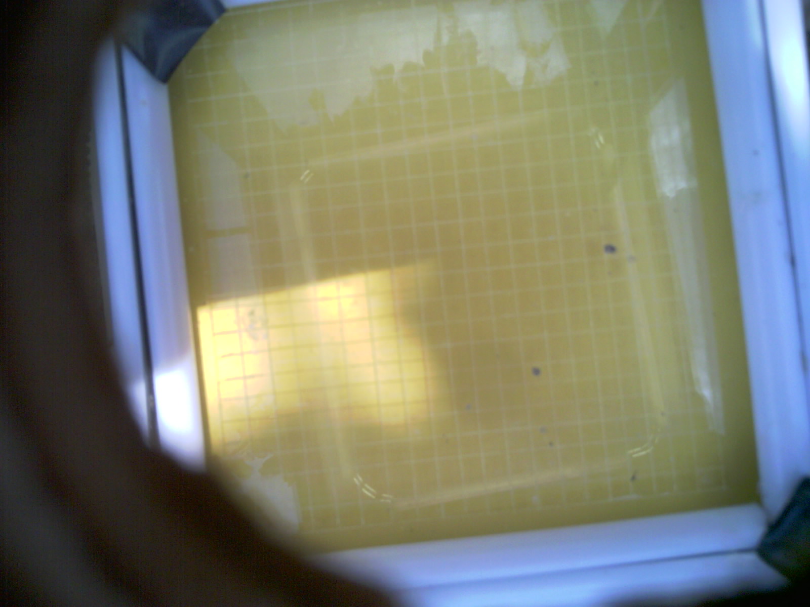 20260707_161935_UXGA_Q3.jpg