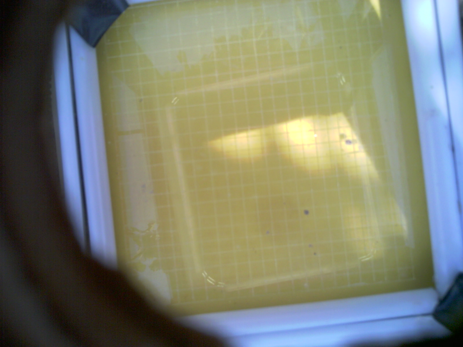 20260707_163508_UXGA_Q3.jpg
