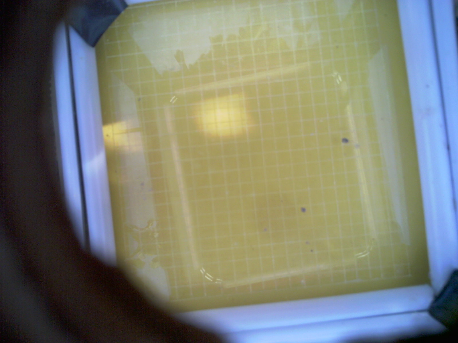 20260707_170459_UXGA_Q3.jpg