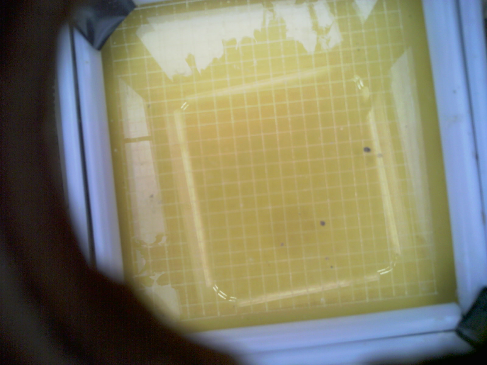 20260707_175230_UXGA_Q3.jpg