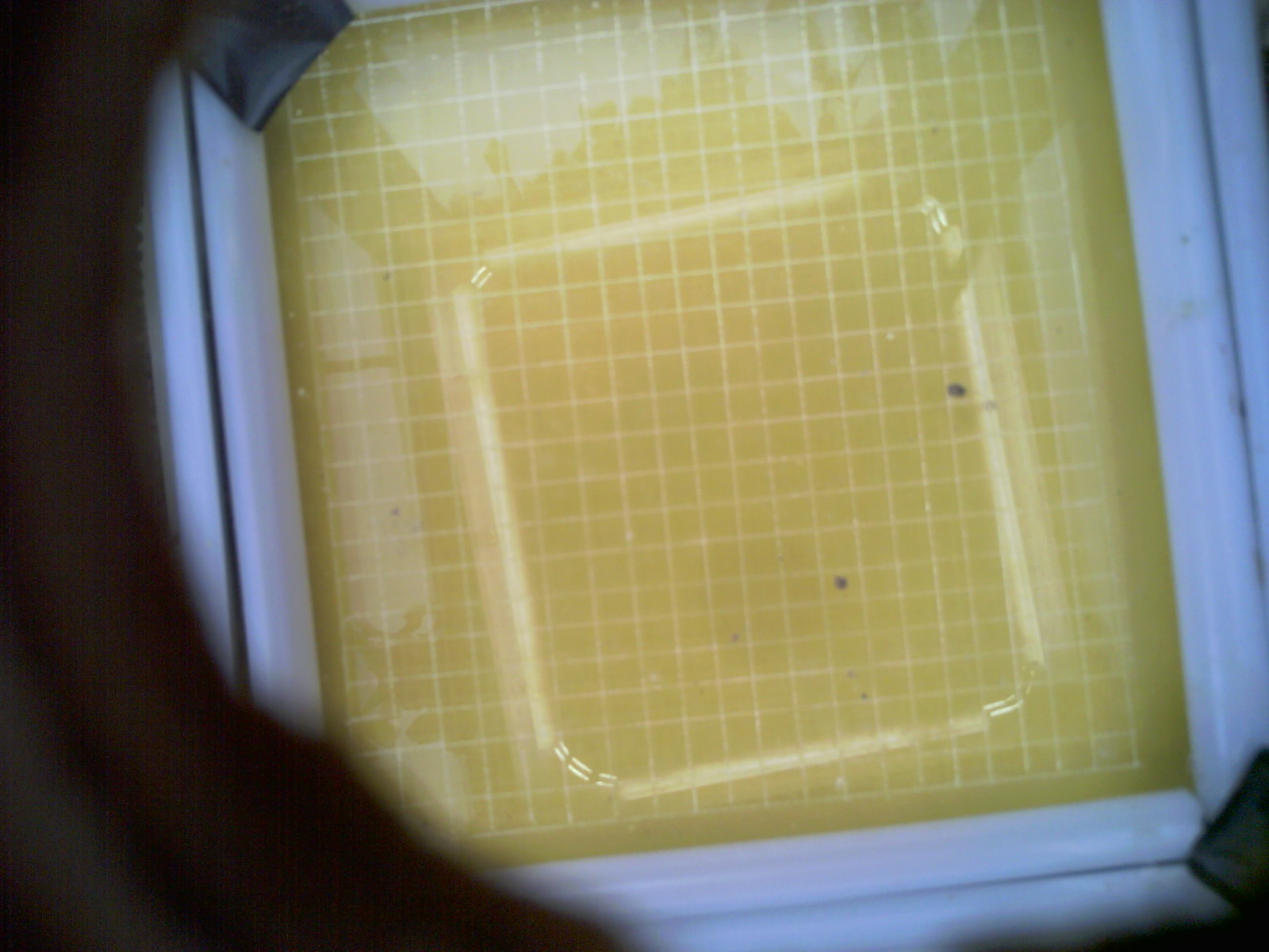 20260707_180019_UXGA_Q3.jpg