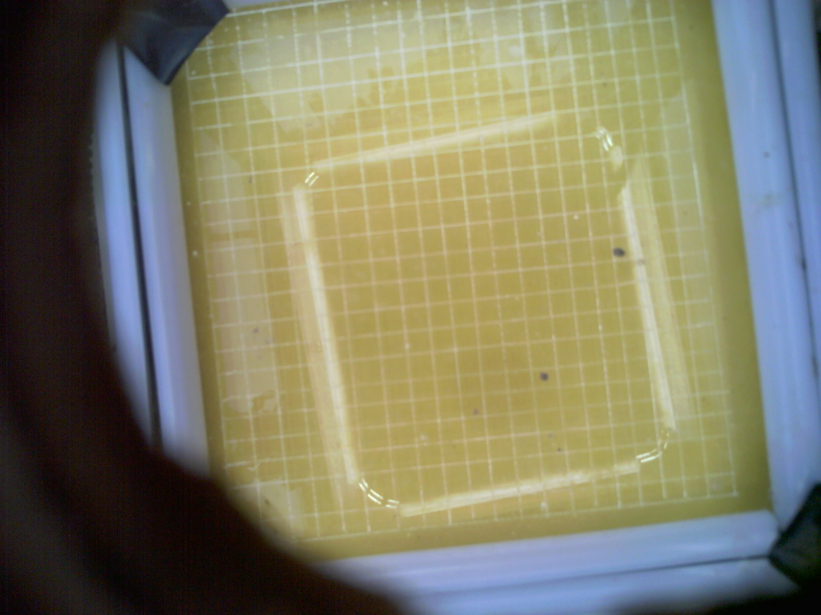 20260707_180559_UXGA_Q3.jpg
