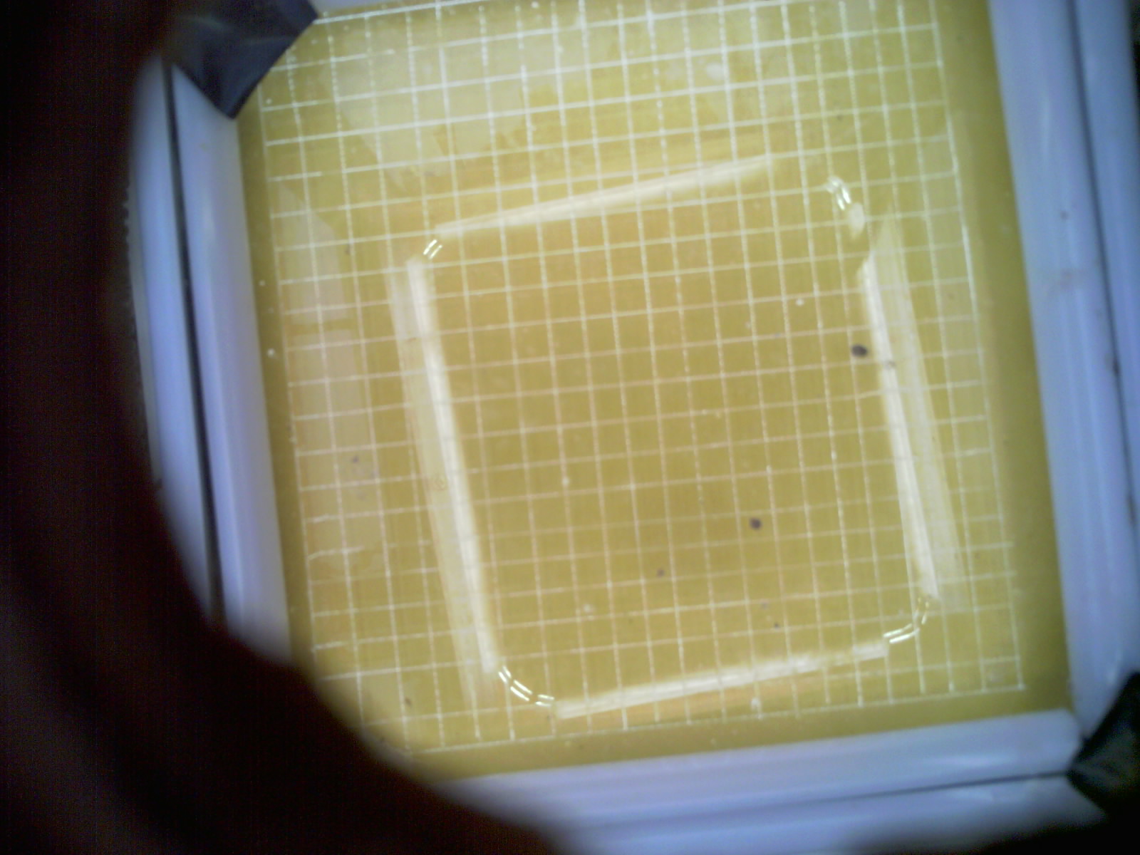 20260707_181145_UXGA_Q3.jpg
