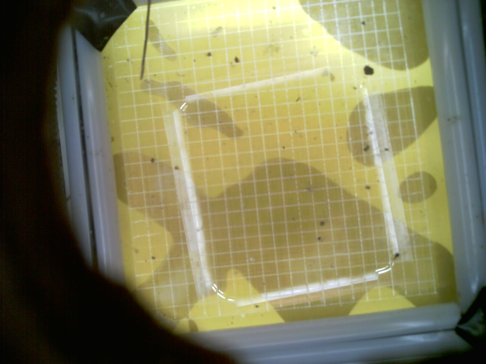 20260708_001158_UXGA_Q3.jpg
