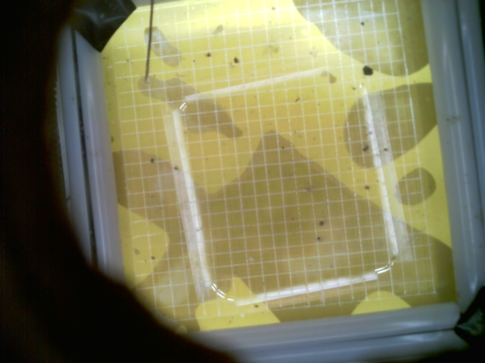 20260708_030601_UXGA_Q3.jpg