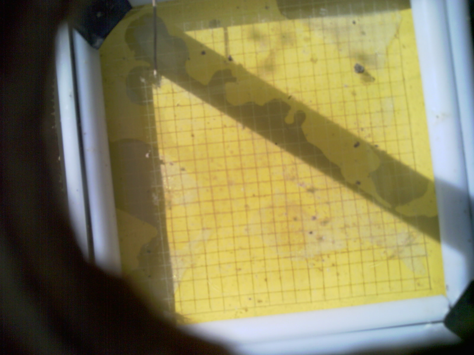 20260708_101332_UXGA_Q3.jpg