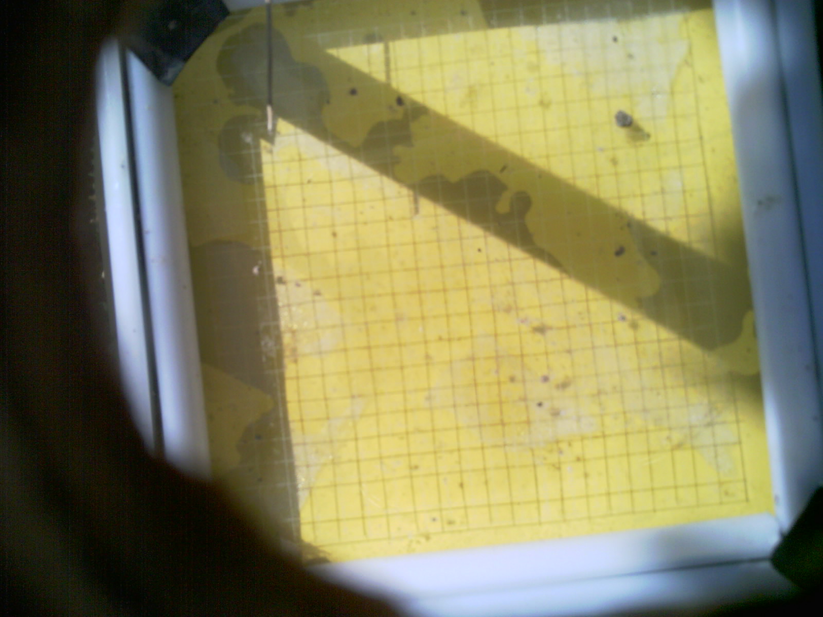 20260708_102530_UXGA_Q3.jpg