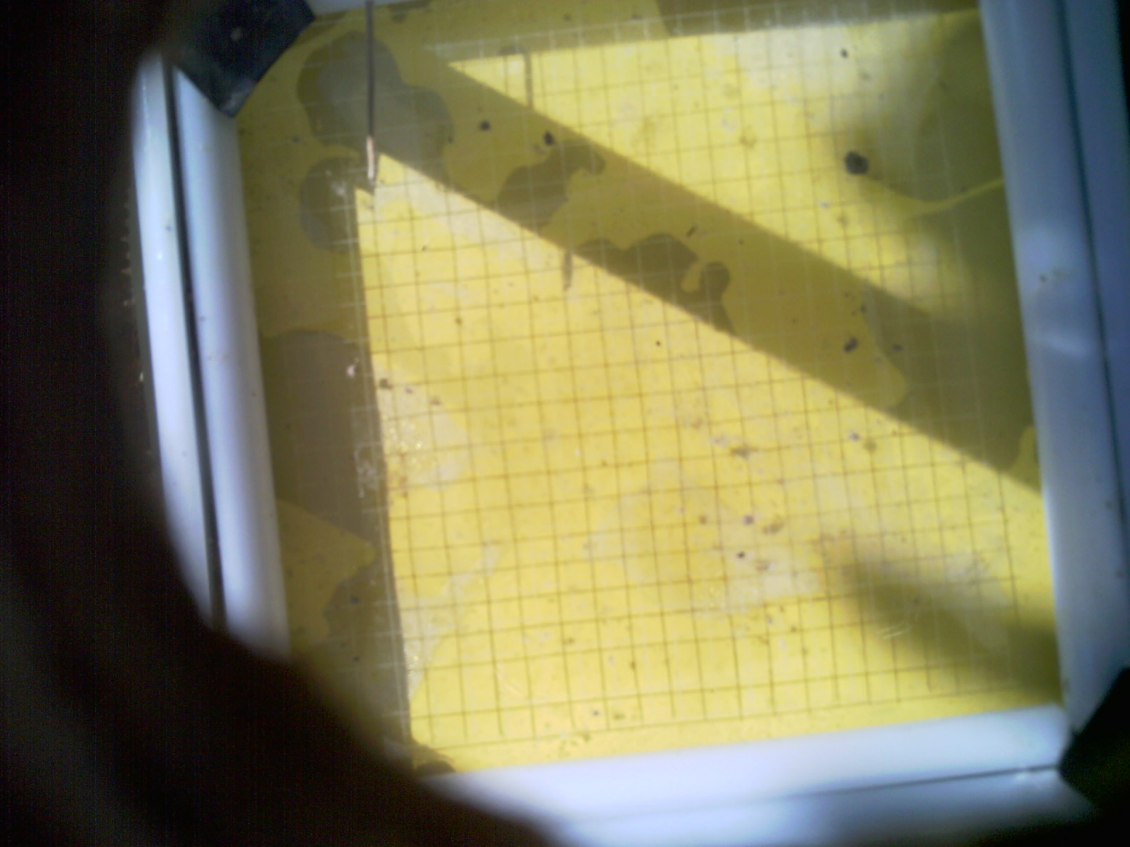 20260708_103147_UXGA_Q3.jpg