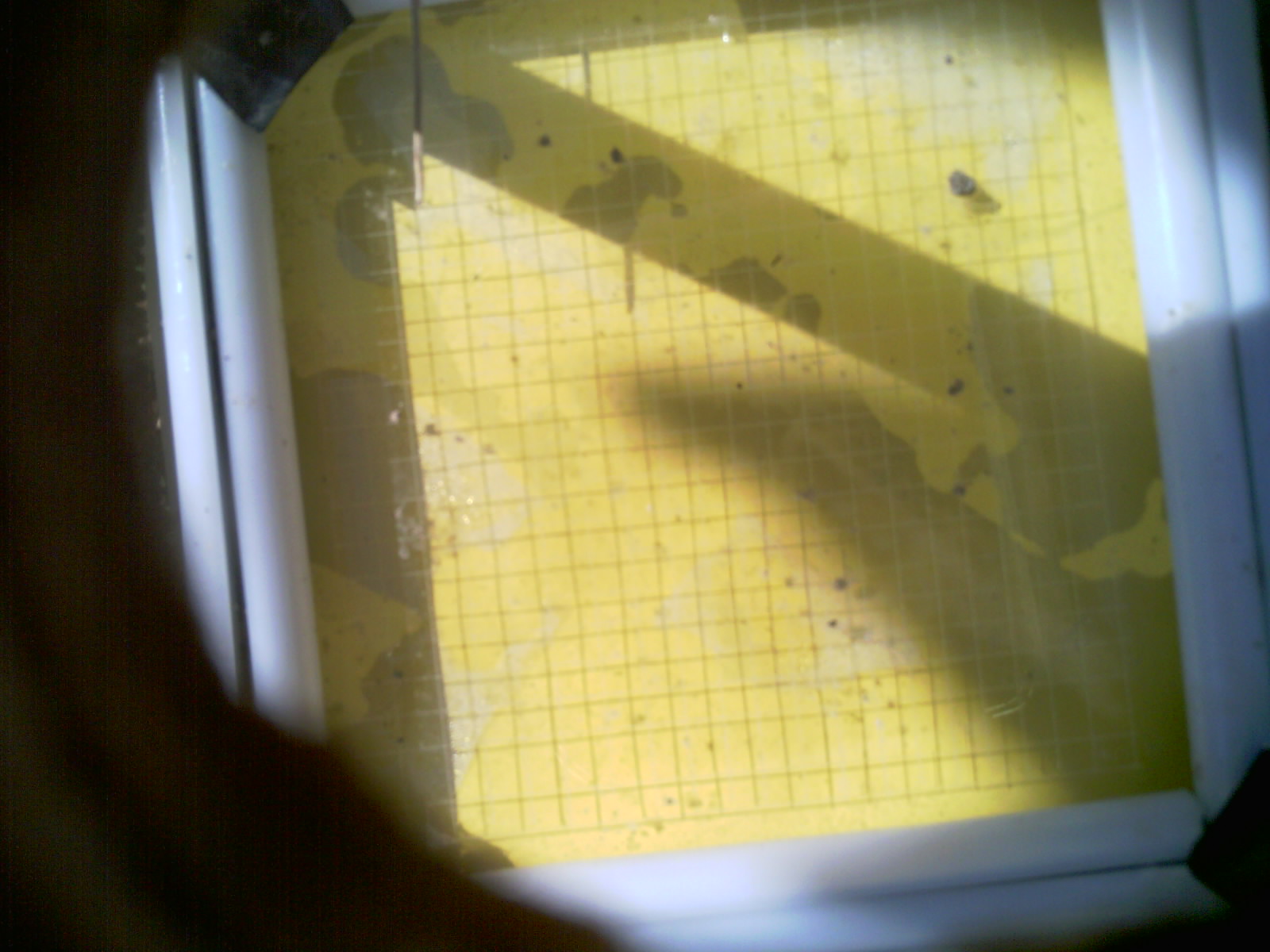 20260708_104336_UXGA_Q3.jpg