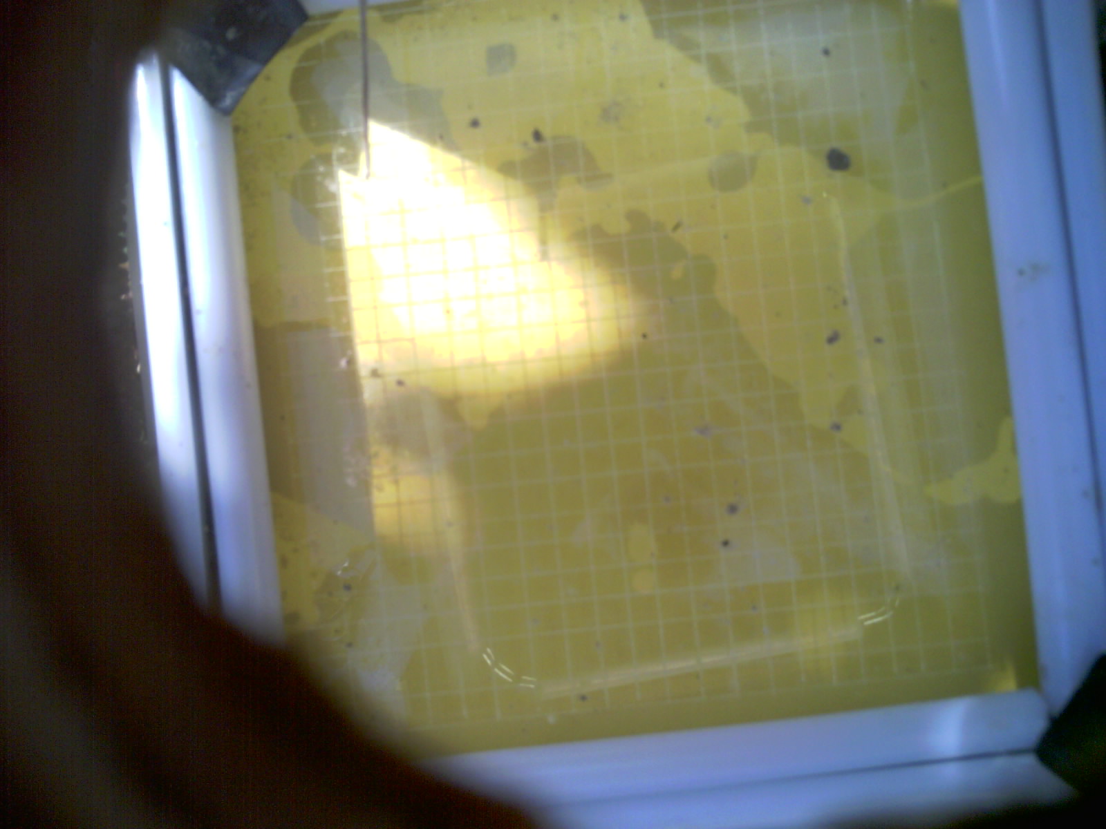 20260708_105502_UXGA_Q3.jpg