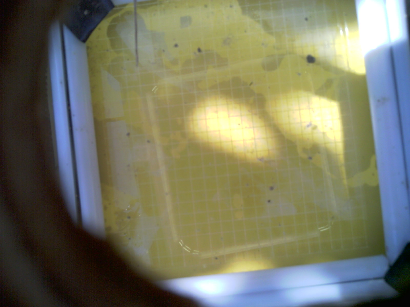 20260708_111203_UXGA_Q3.jpg