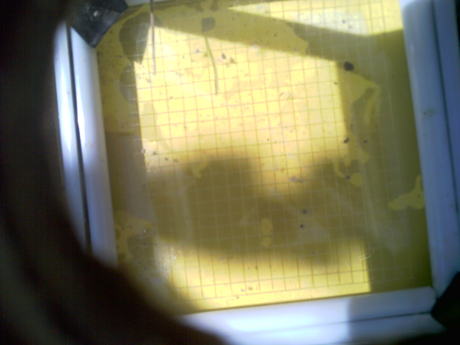 20260708_114038_UXGA_Q3.jpg