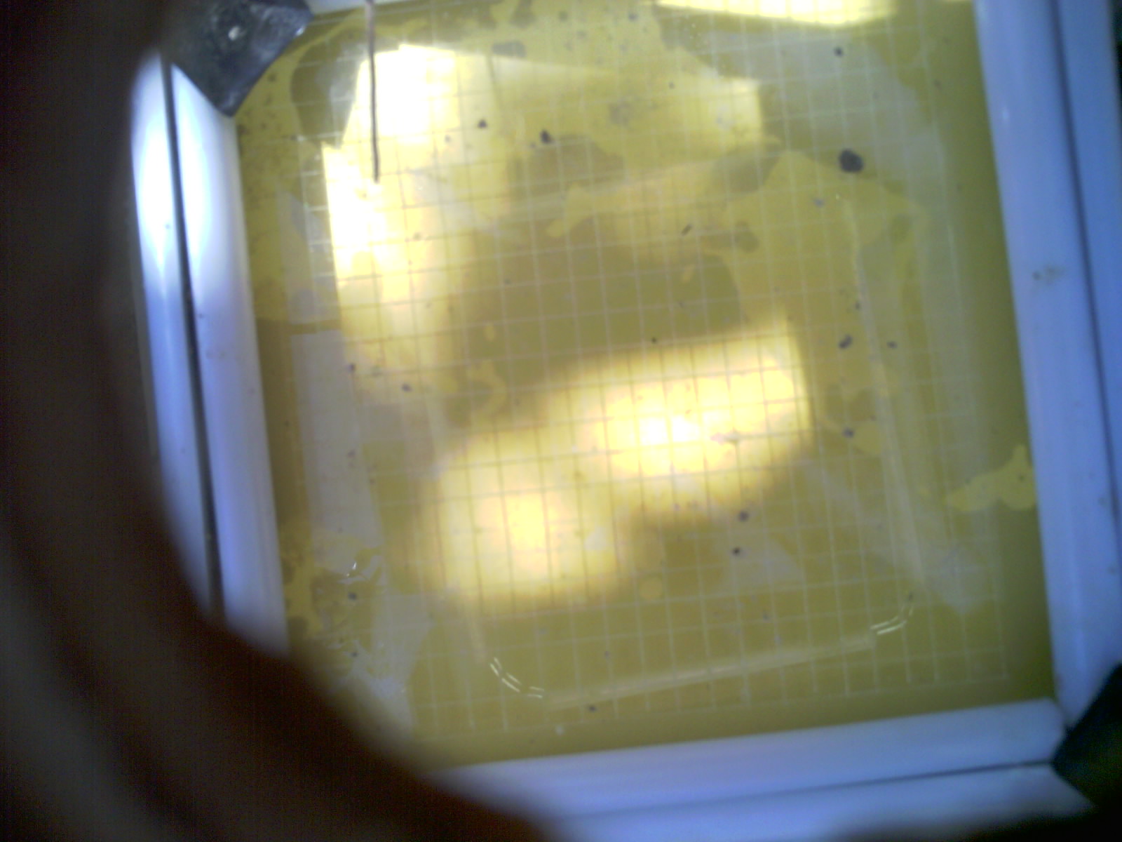 20260708_120056_UXGA_Q3.jpg