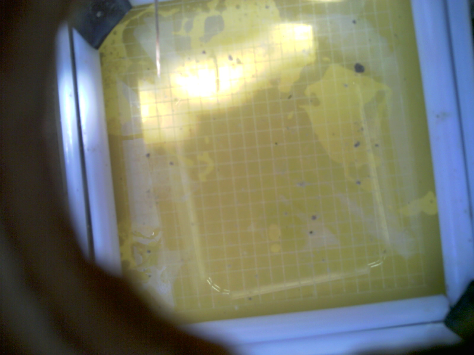 20260708_120903_UXGA_Q3.jpg