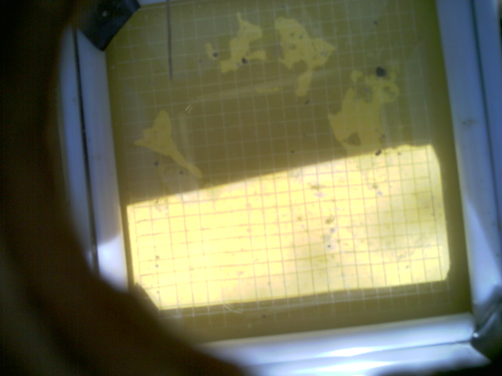 20260708_160215_UXGA_Q3.jpg
