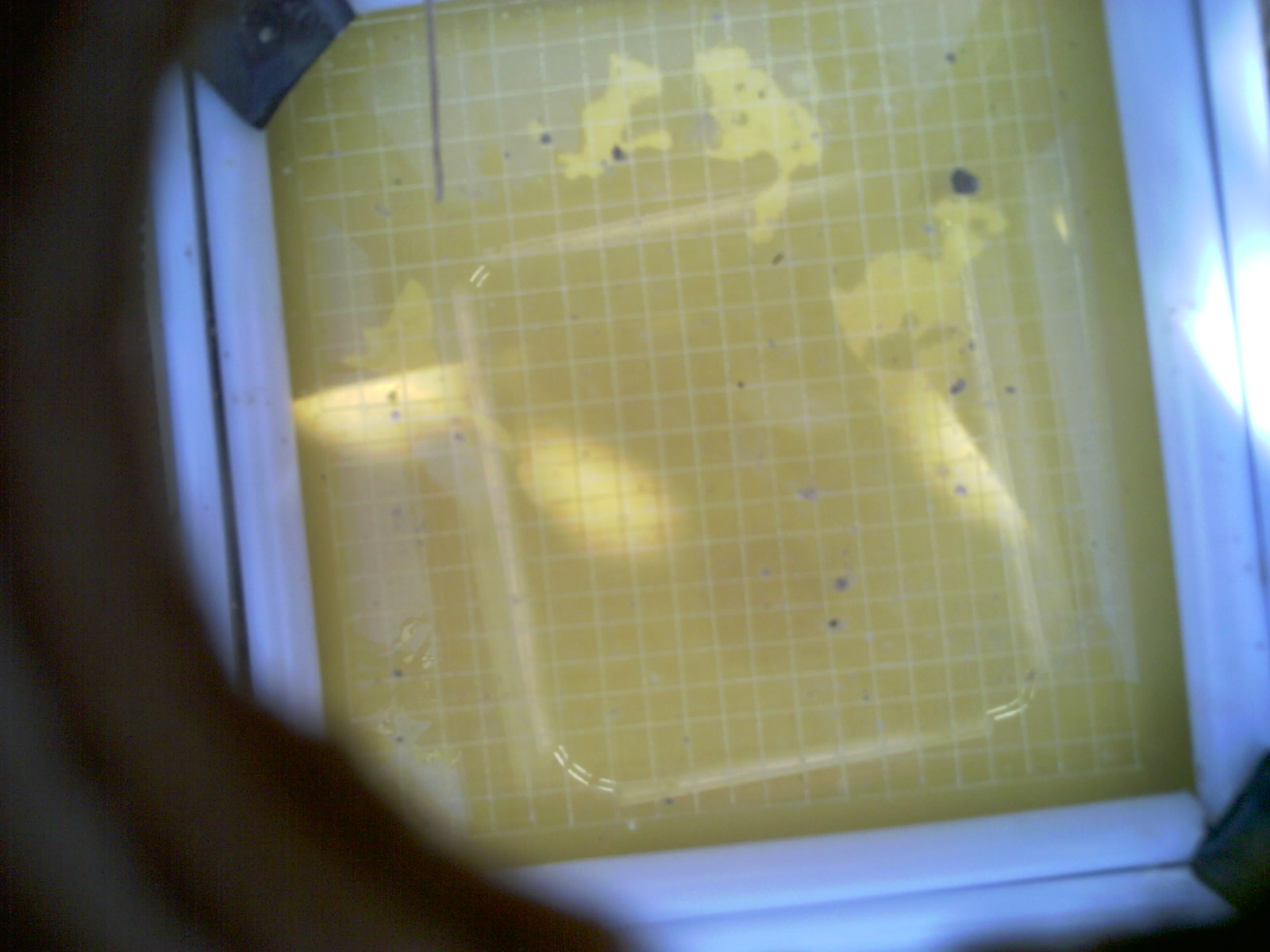 20260708_165158_UXGA_Q3.jpg