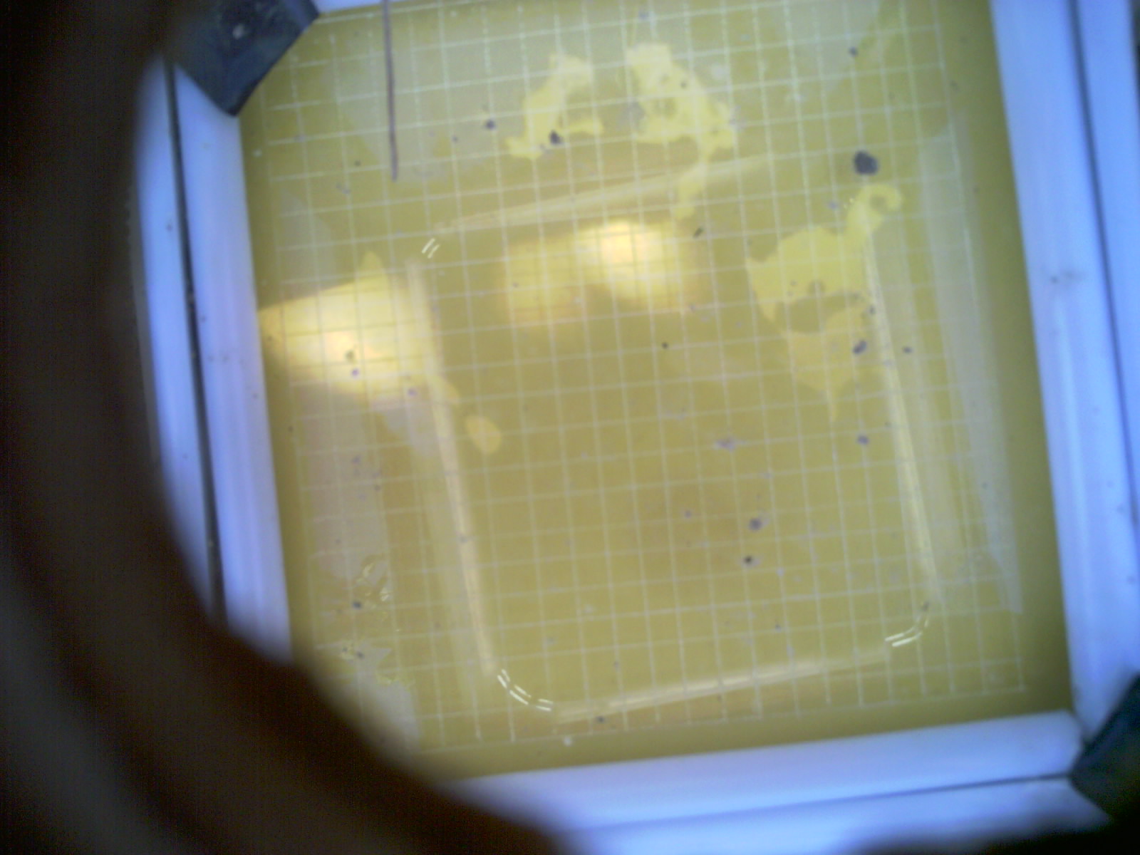 20260708_170456_UXGA_Q3.jpg