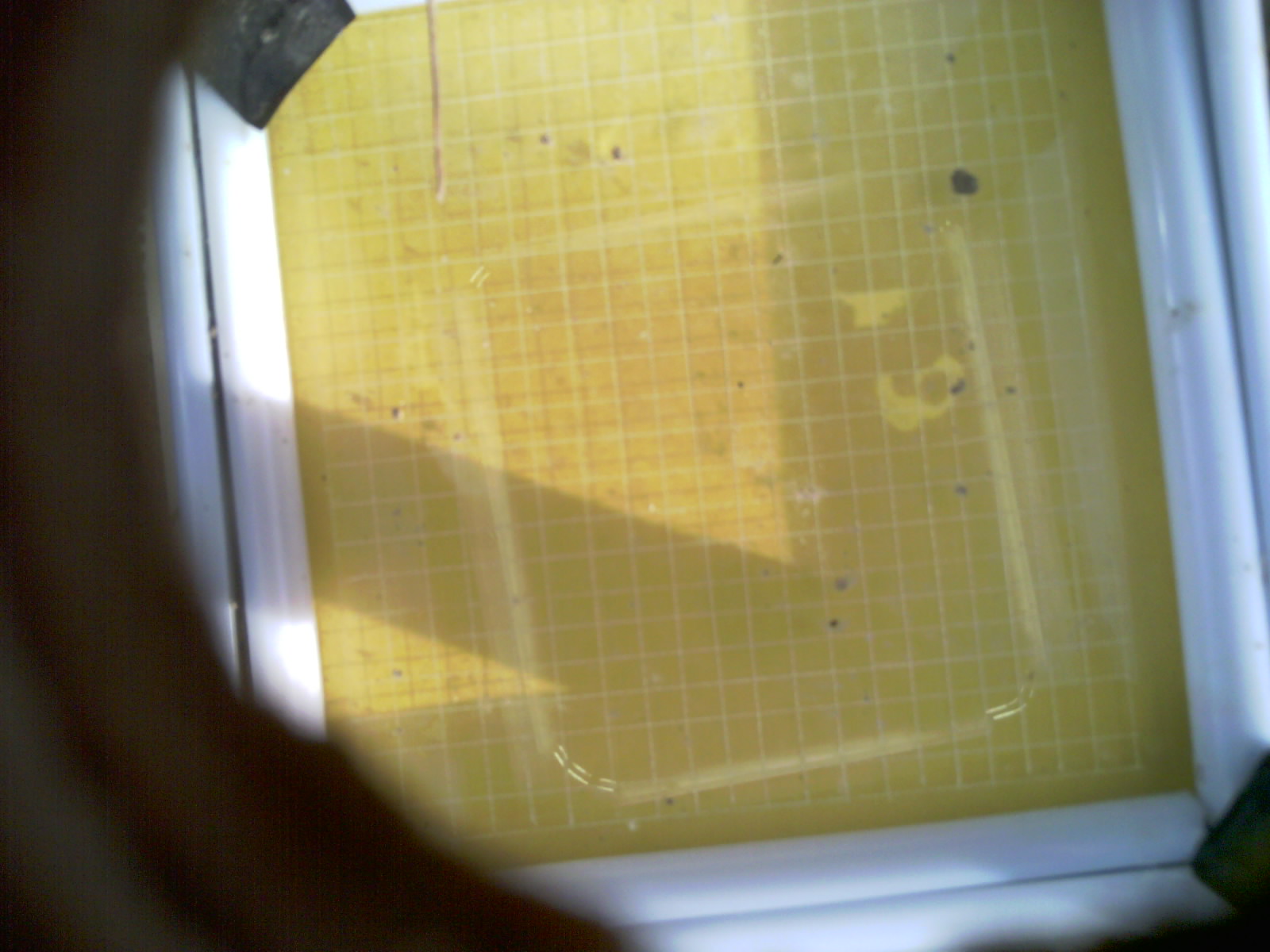20260708_200901_UXGA_Q3.jpg