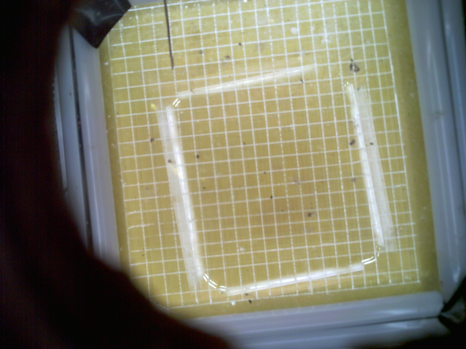 20260709_031412_UXGA_Q3.jpg