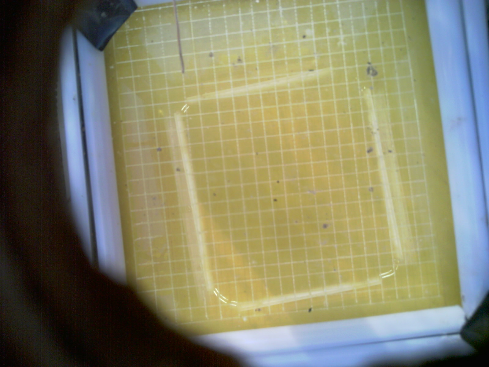 20260709_081018_UXGA_Q3.jpg