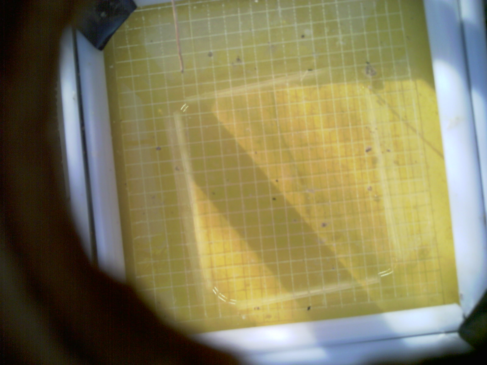 20260709_082801_UXGA_Q3.jpg