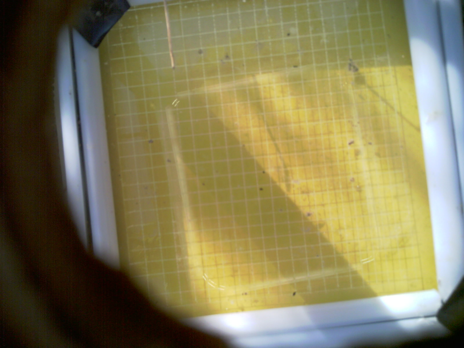 20260709_083444_UXGA_Q3.jpg