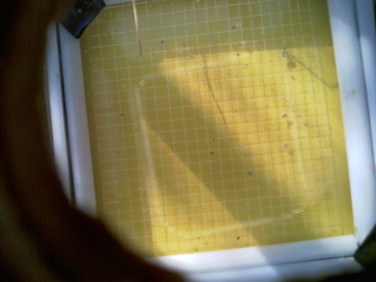 20260709_084229_UXGA_Q3.jpg