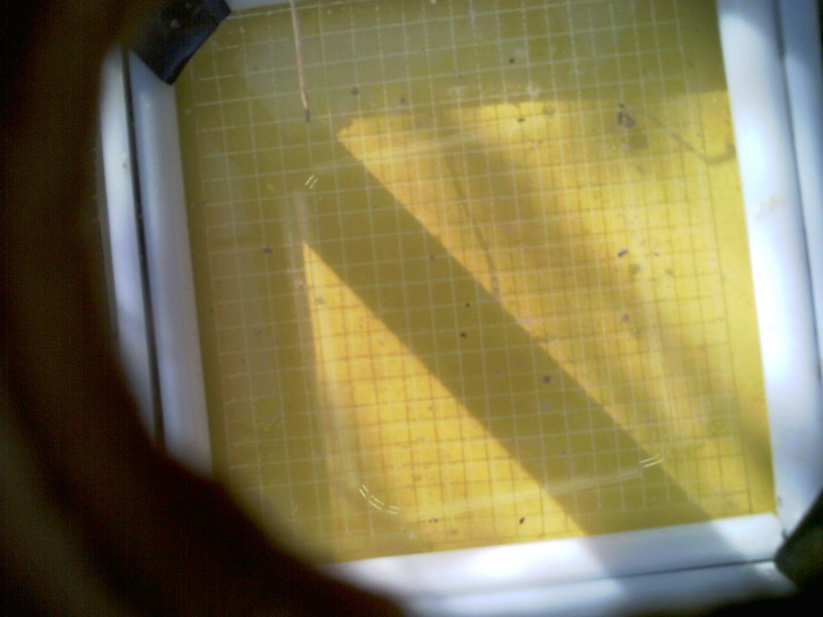 20260709_085041_UXGA_Q3.jpg