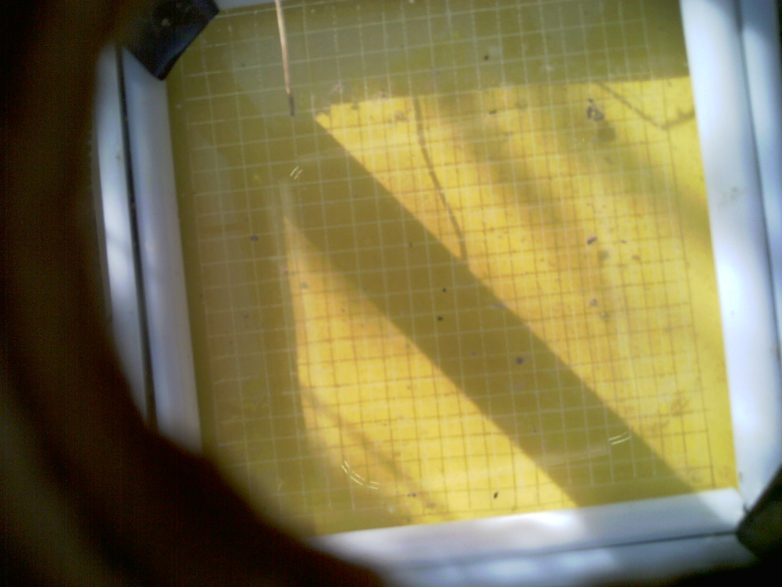 20260709_085831_UXGA_Q3.jpg