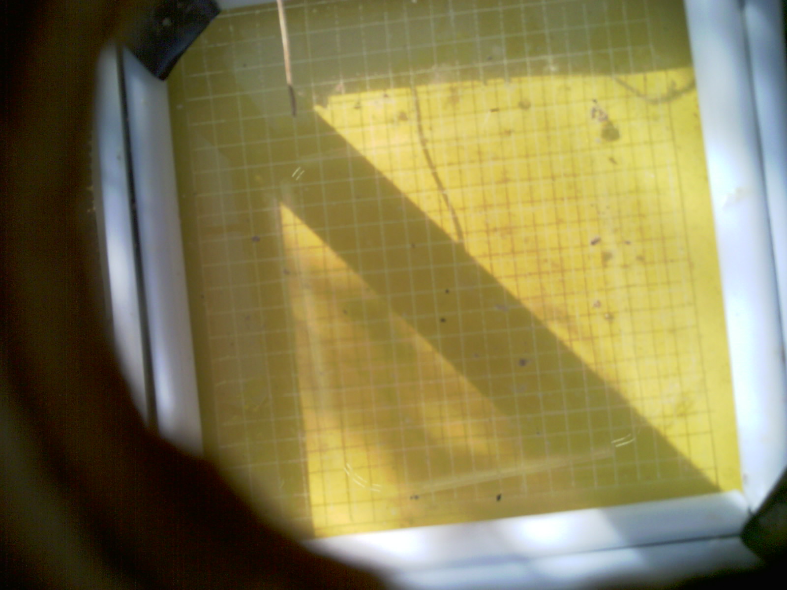 20260709_090558_UXGA_Q3.jpg