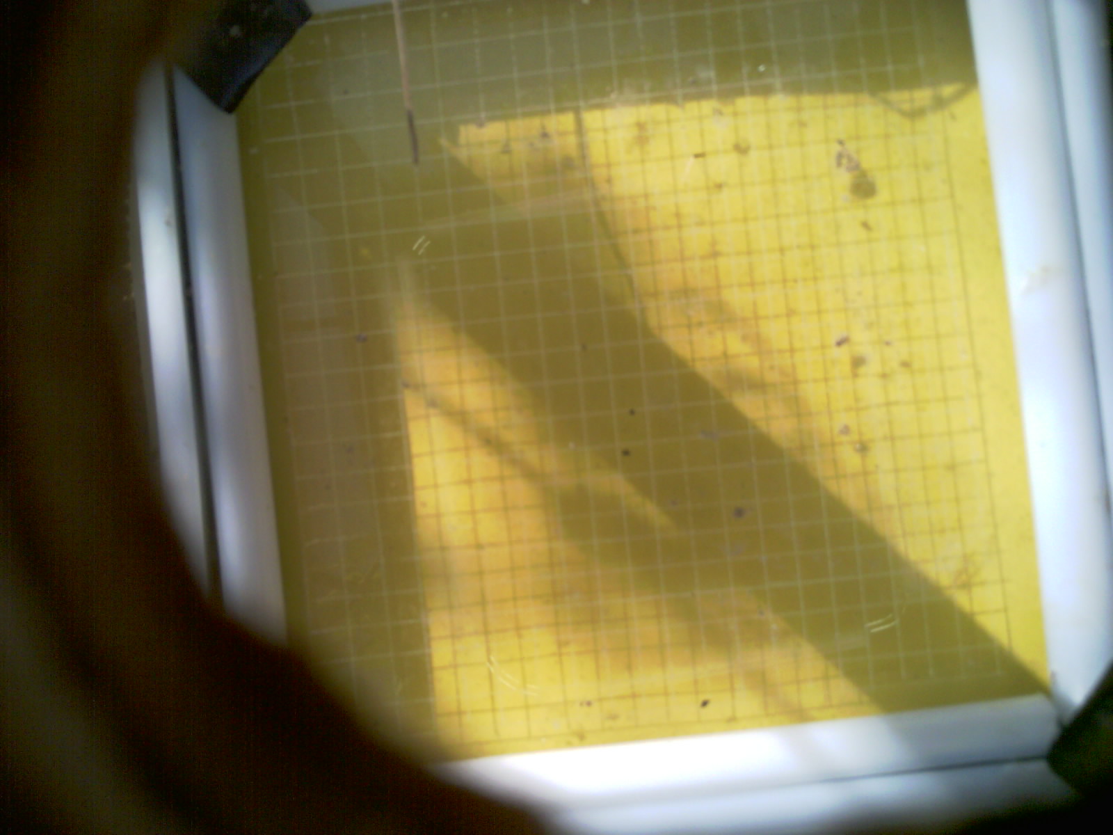 20260709_091305_UXGA_Q3.jpg