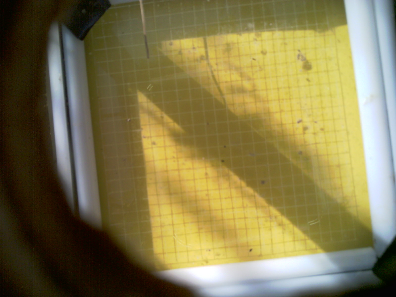 20260709_091915_UXGA_Q3.jpg
