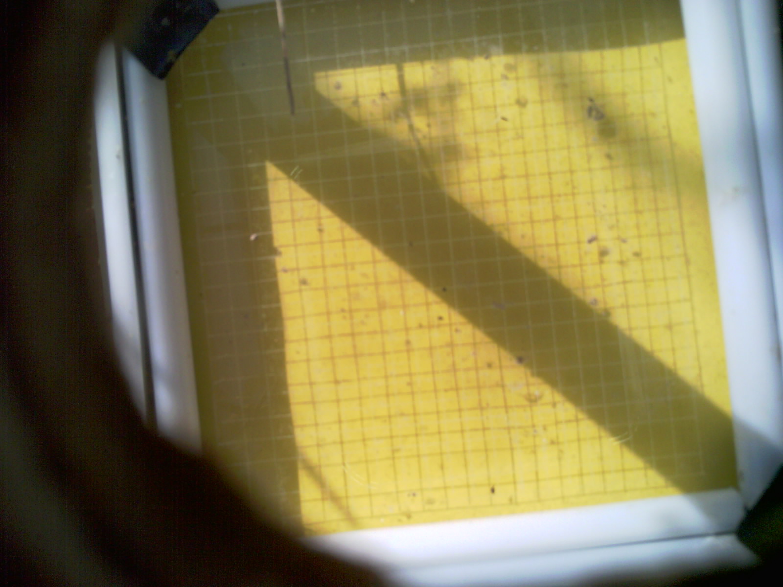 20260709_093213_UXGA_Q3.jpg