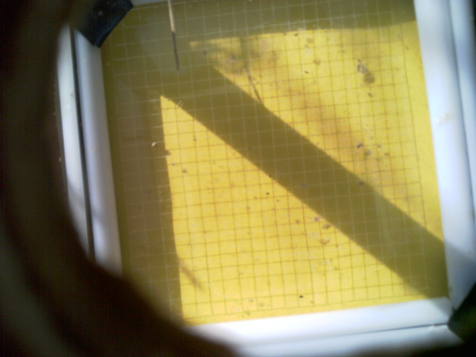 20260709_093949_UXGA_Q3.jpg