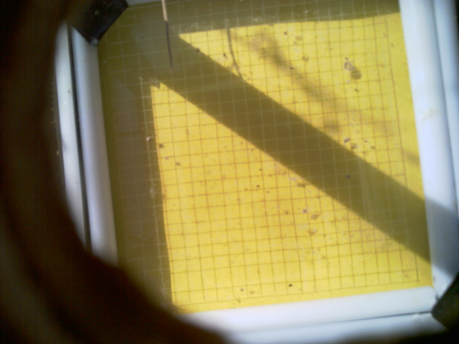20260709_100333_UXGA_Q3.jpg