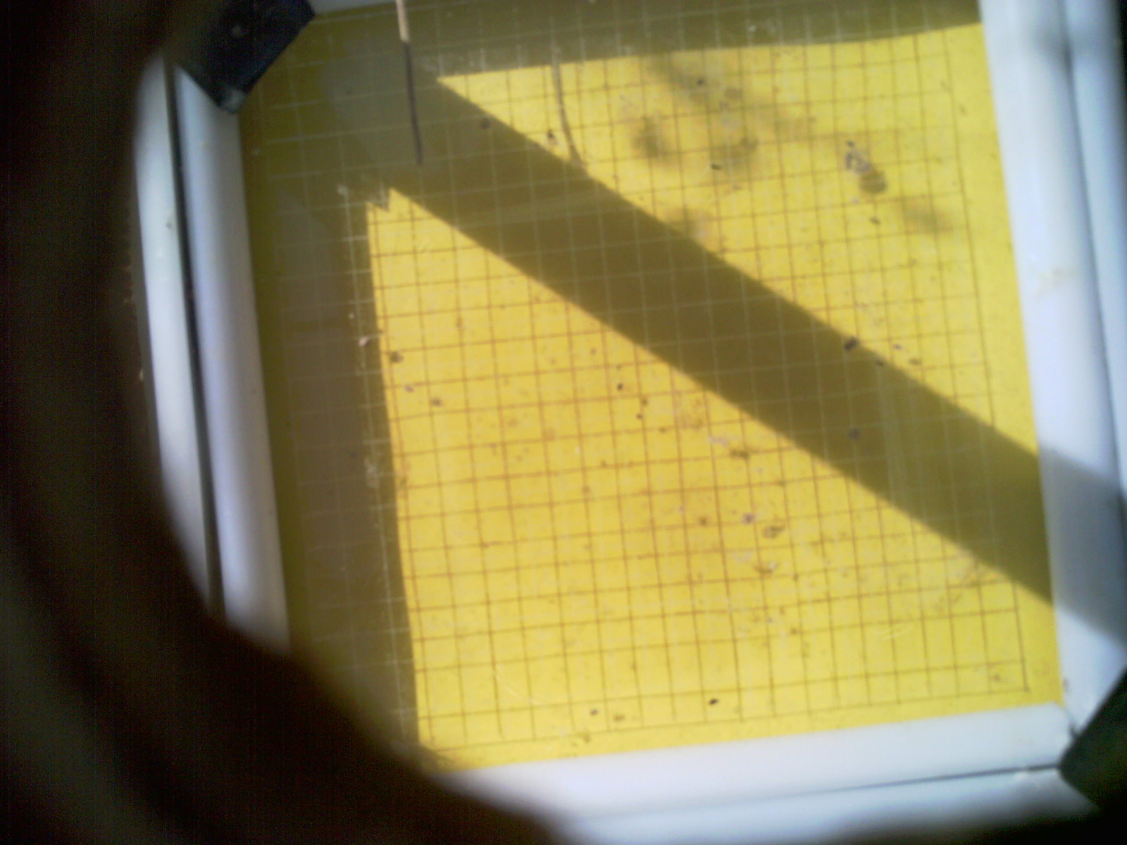 20260709_101255_UXGA_Q3.jpg