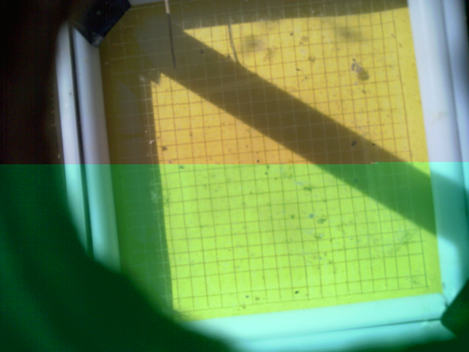20260709_101932_UXGA_Q3.jpg