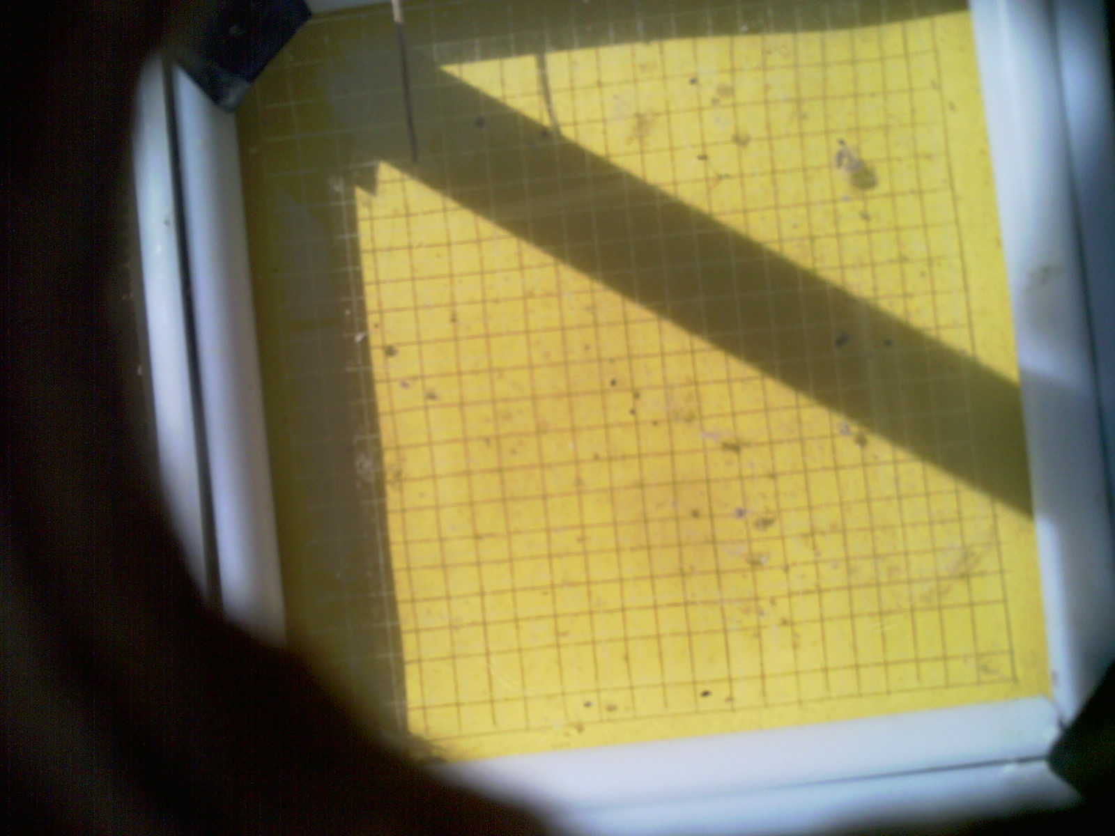 20260709_102525_UXGA_Q3.jpg
