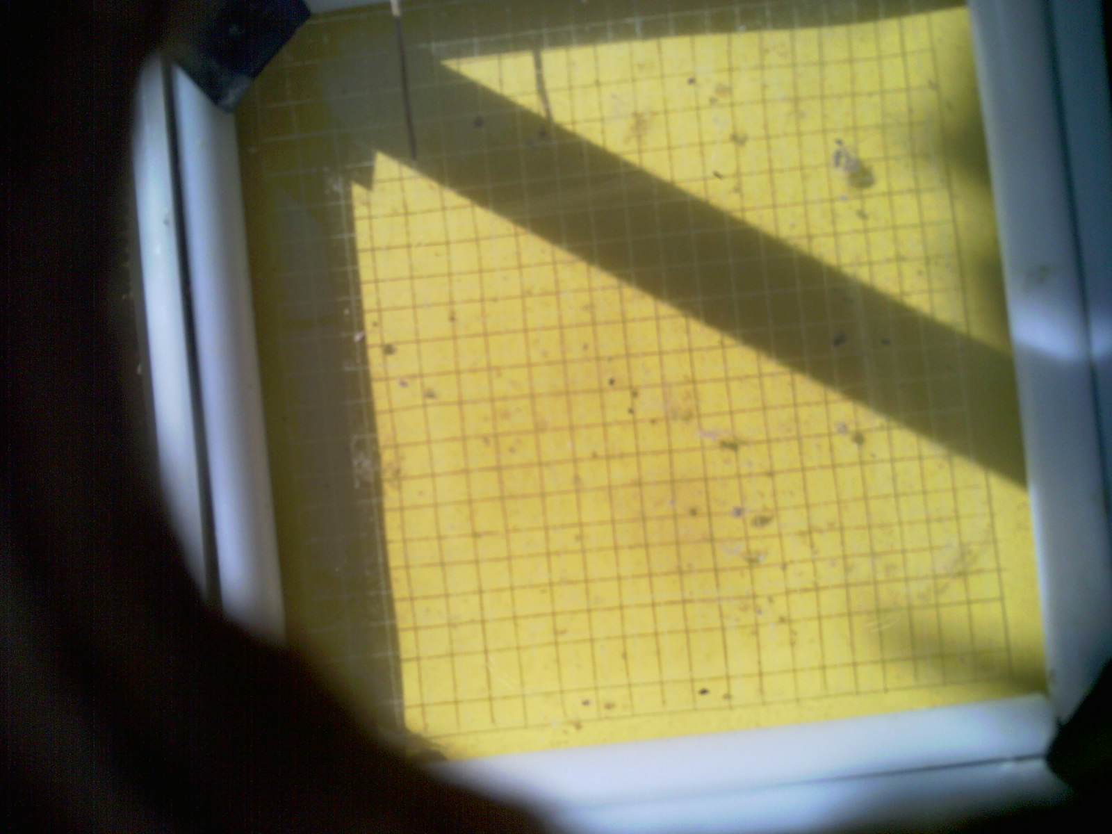 20260709_103138_UXGA_Q3.jpg