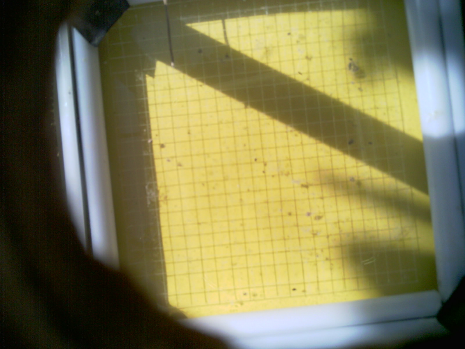 20260709_103802_UXGA_Q3.jpg