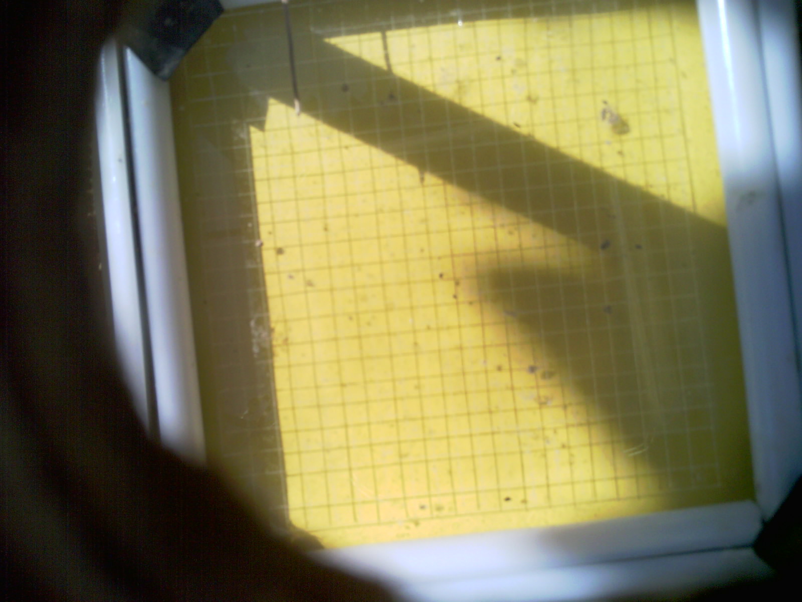 20260709_104518_UXGA_Q3.jpg