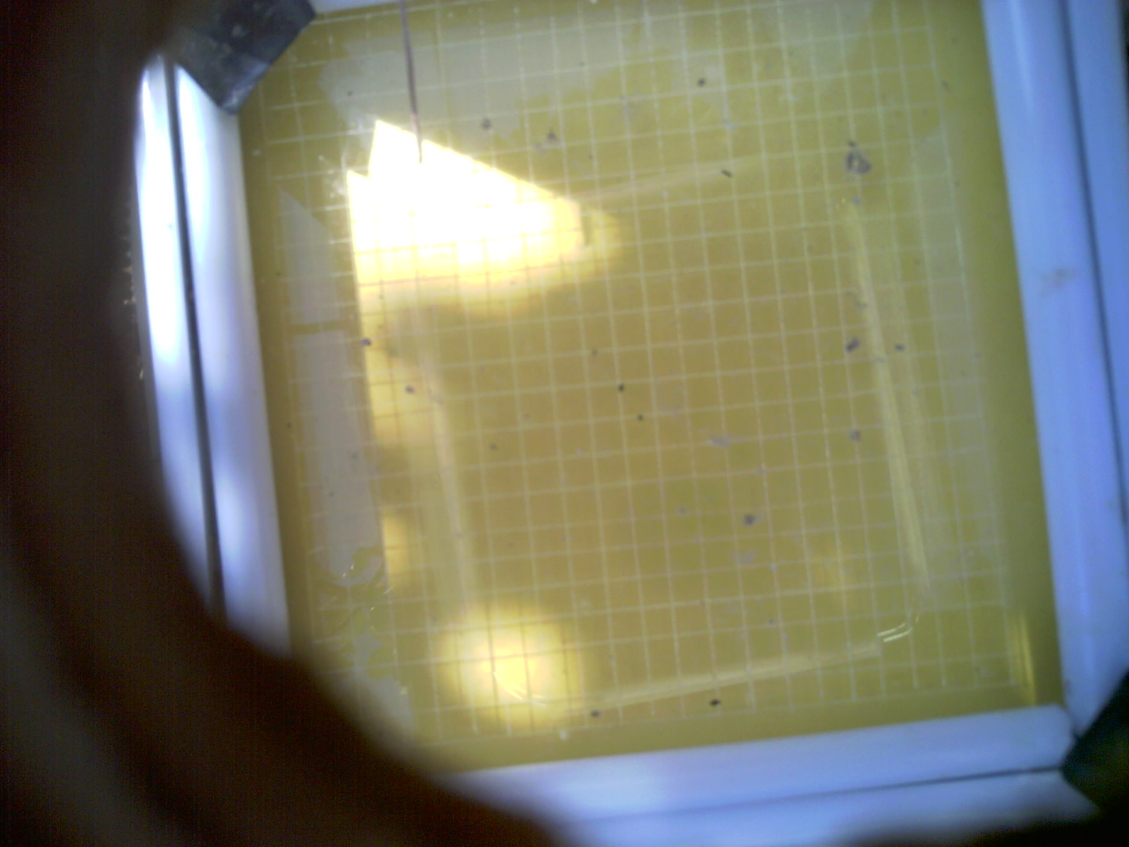 20260709_105755_UXGA_Q3.jpg