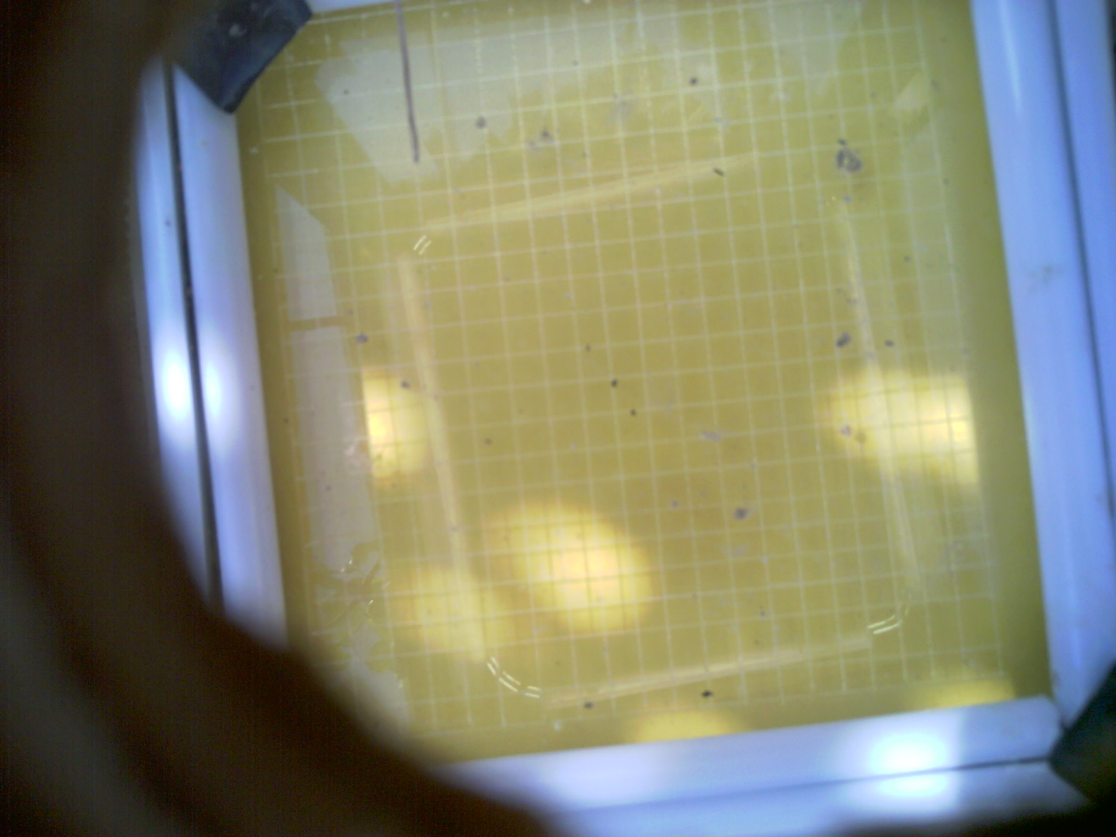 20260709_110410_UXGA_Q3.jpg