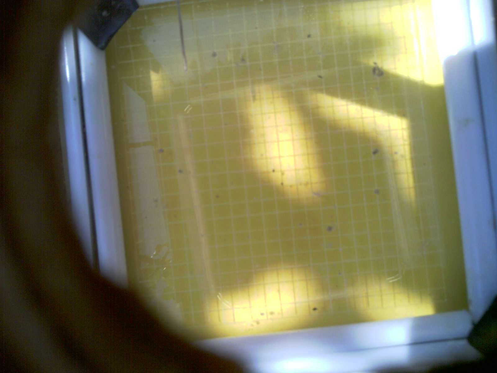 20260709_111657_UXGA_Q3.jpg
