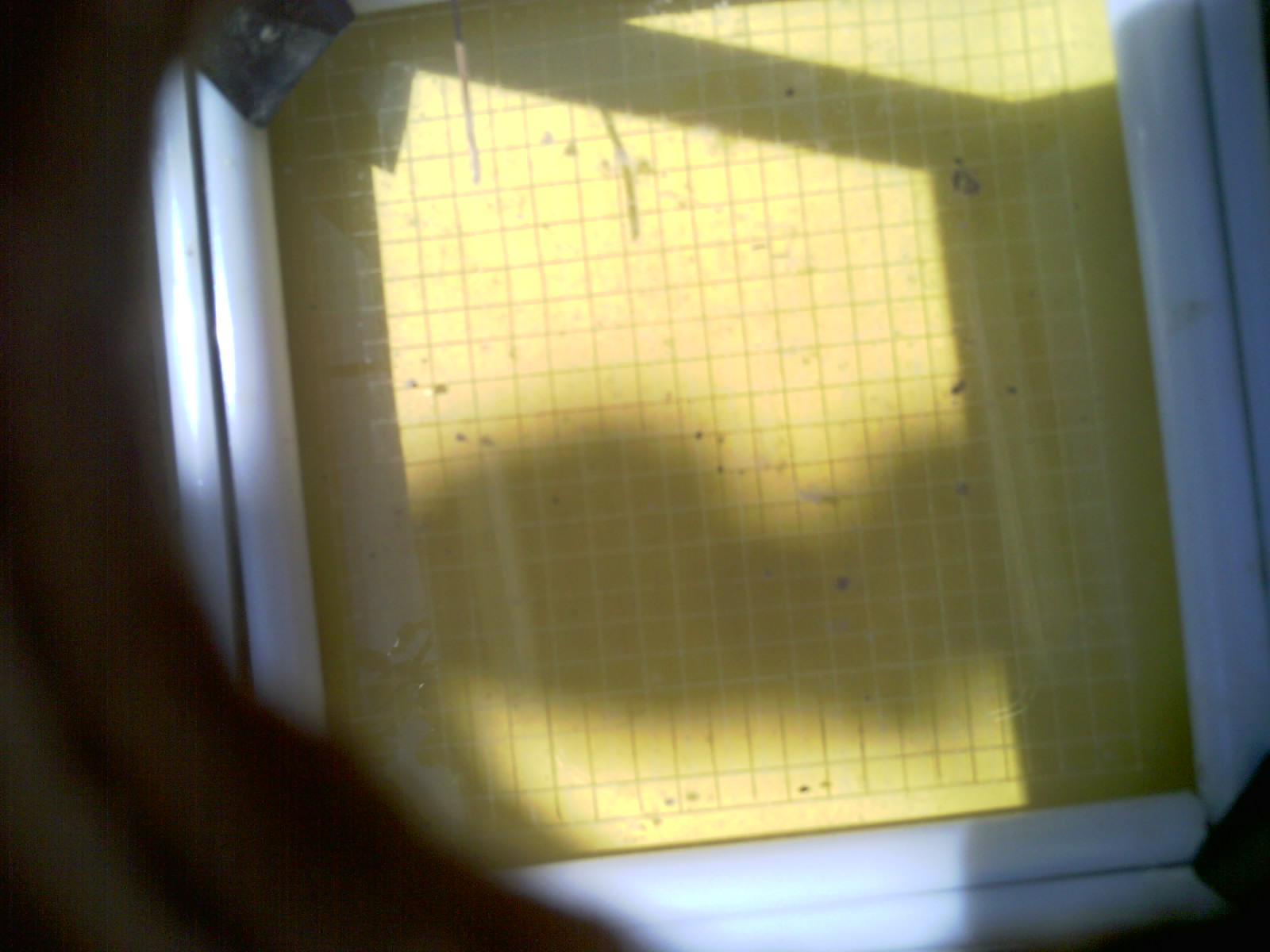 20260709_114310_UXGA_Q3.jpg
