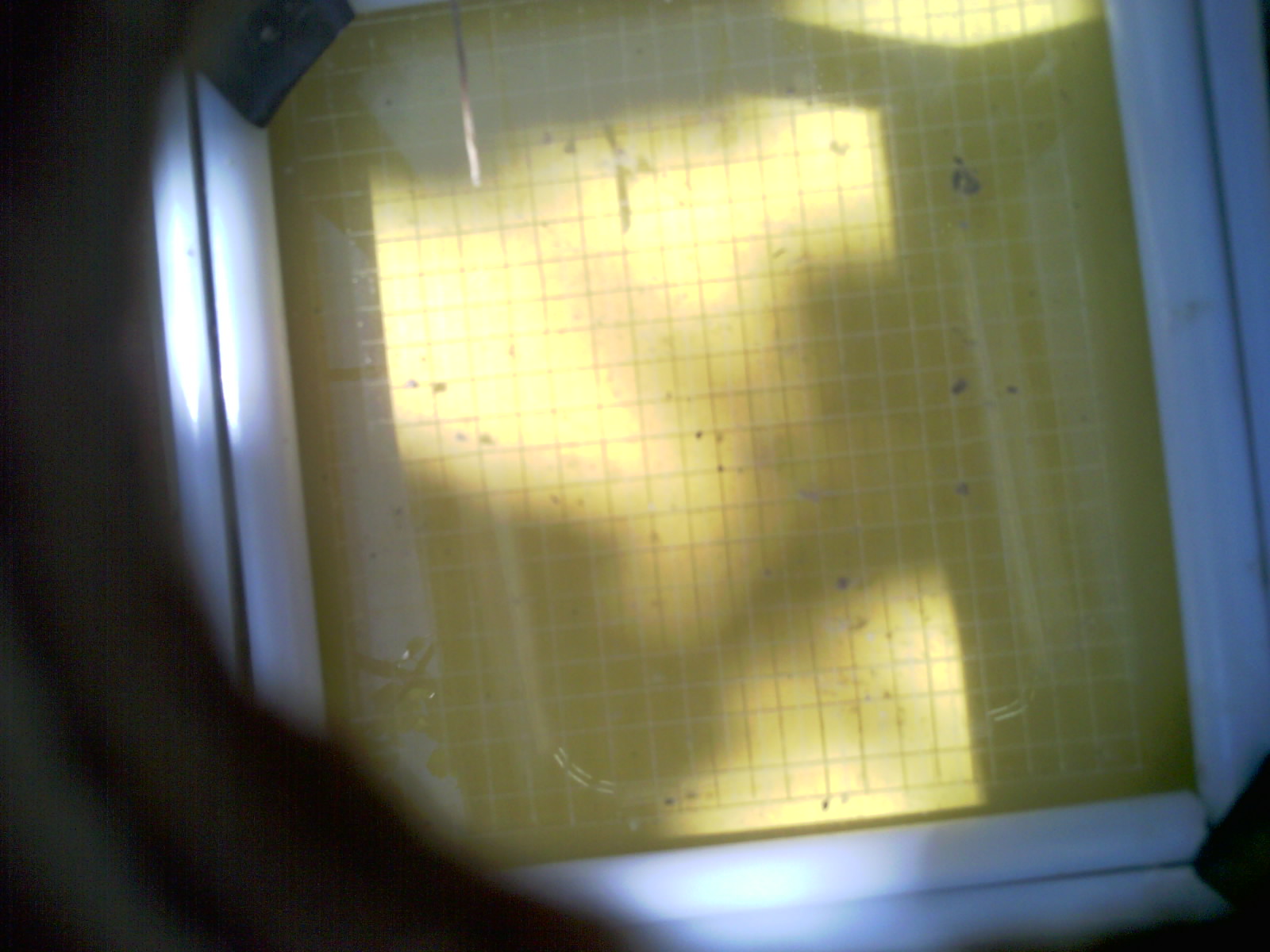 20260709_115556_UXGA_Q3.jpg