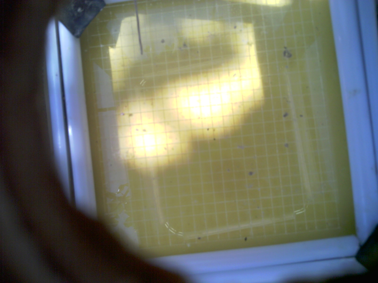 20260709_120258_UXGA_Q3.jpg